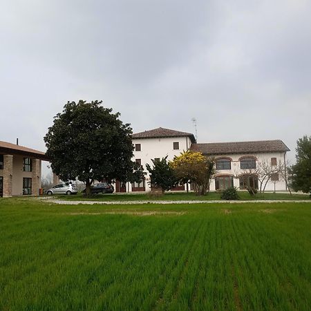Agriturismo Trabucco Casale sul Sile Exterior photo